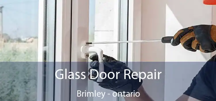 Glass Door Repair Brimley - ontario