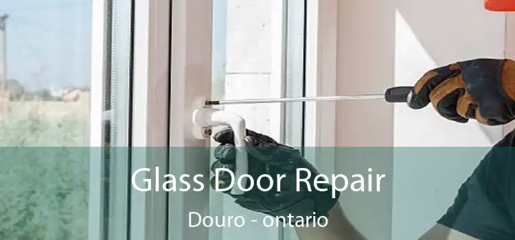 Glass Door Repair Douro - ontario