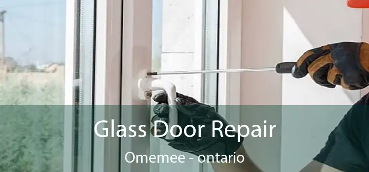 Glass Door Repair Omemee - ontario