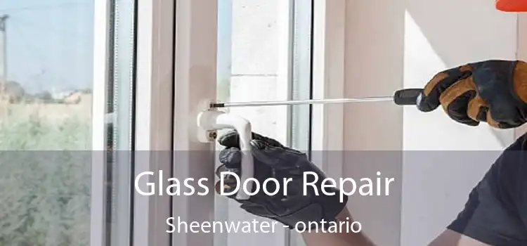 Glass Door Repair Sheenwater - ontario