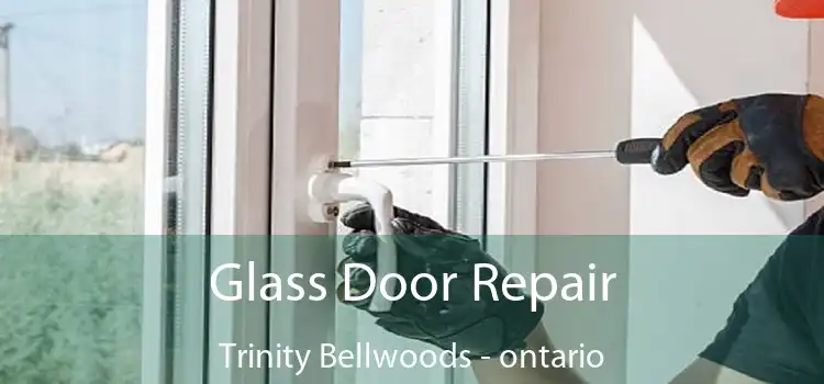 Glass Door Repair Trinity Bellwoods - ontario