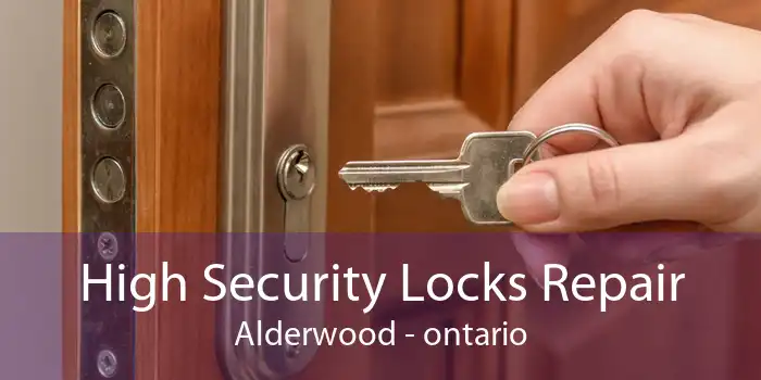 High Security Locks Repair Alderwood - ontario