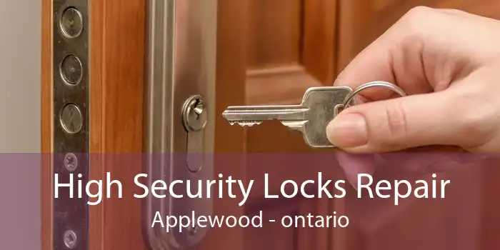 High Security Locks Repair Applewood - ontario