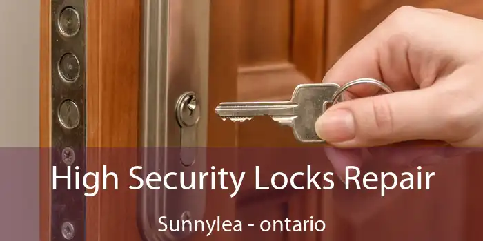High Security Locks Repair Sunnylea - ontario