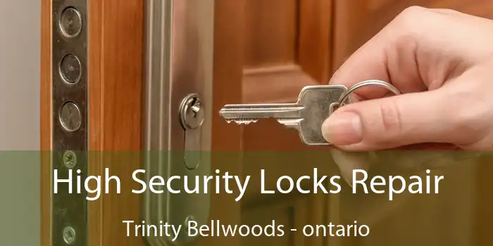 High Security Locks Repair Trinity Bellwoods - ontario