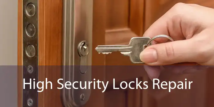High Security Locks Repair 