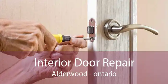 Interior Door Repair Alderwood - ontario
