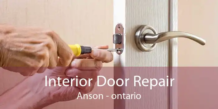 Interior Door Repair Anson - ontario