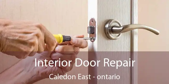Interior Door Repair Caledon East - ontario