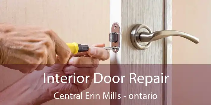 Interior Door Repair Central Erin Mills - ontario