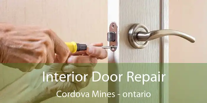 Interior Door Repair Cordova Mines - ontario