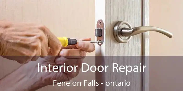 Interior Door Repair Fenelon Falls - ontario