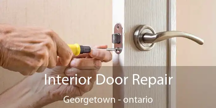 Interior Door Repair Georgetown - ontario
