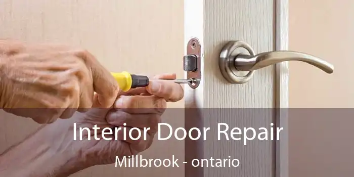 Interior Door Repair Millbrook - ontario
