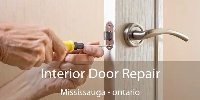 Interior Door Repair Mississauga - ontario