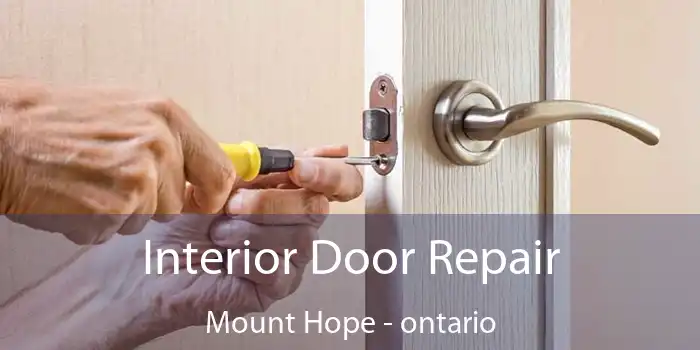 Interior Door Repair Mount Hope - ontario