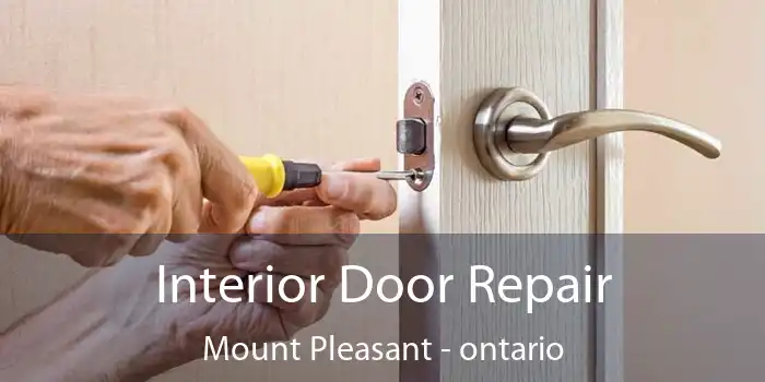 Interior Door Repair Mount Pleasant - ontario
