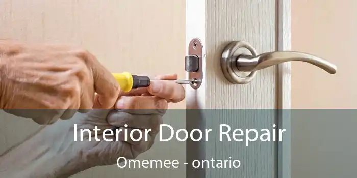 Interior Door Repair Omemee - ontario