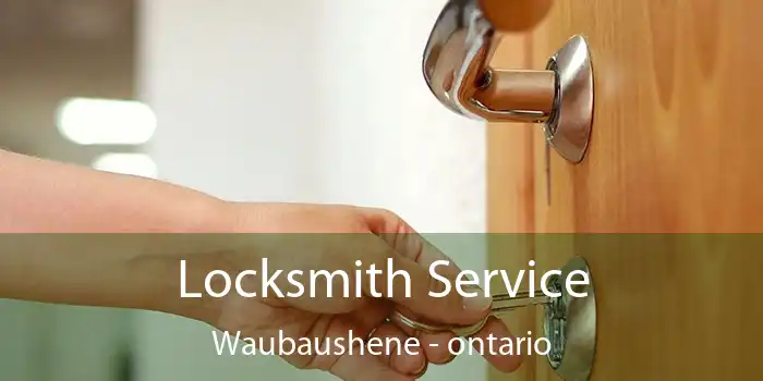 Locksmith Service Waubaushene - ontario
