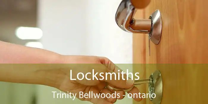 Locksmiths Trinity Bellwoods - ontario