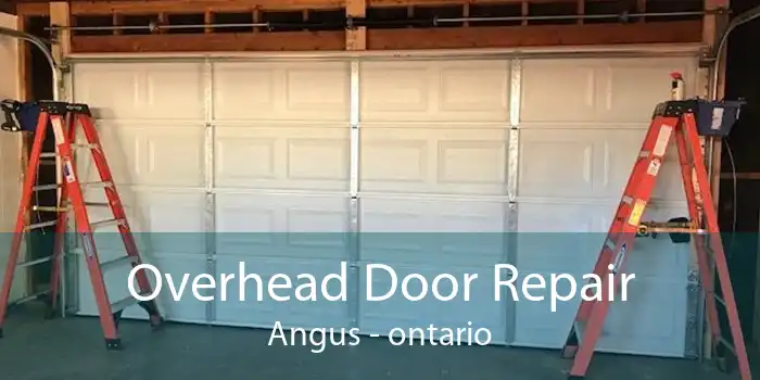 Overhead Door Repair Angus - ontario