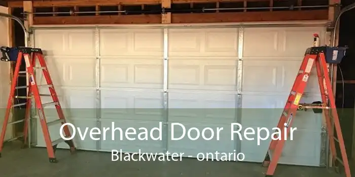 Overhead Door Repair Blackwater - ontario