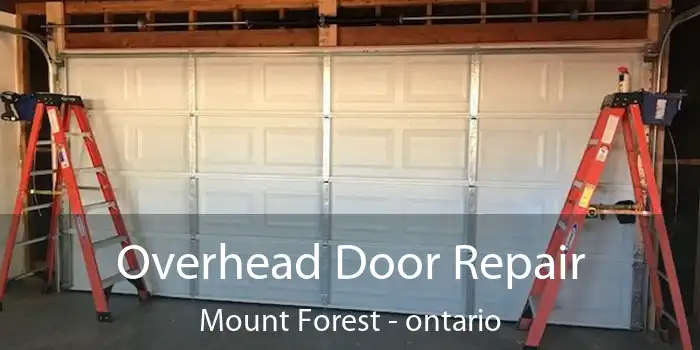 Overhead Door Repair Mount Forest - ontario