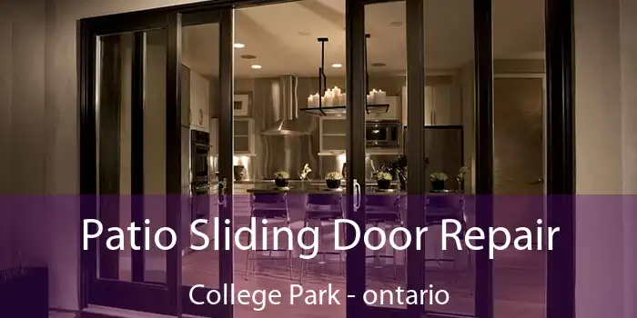Patio Sliding Door Repair College Park - ontario