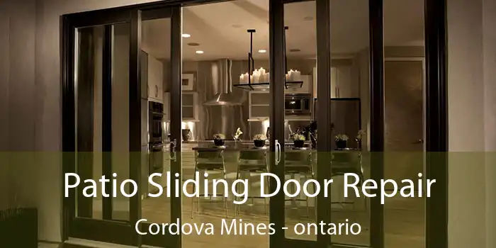 Patio Sliding Door Repair Cordova Mines - ontario