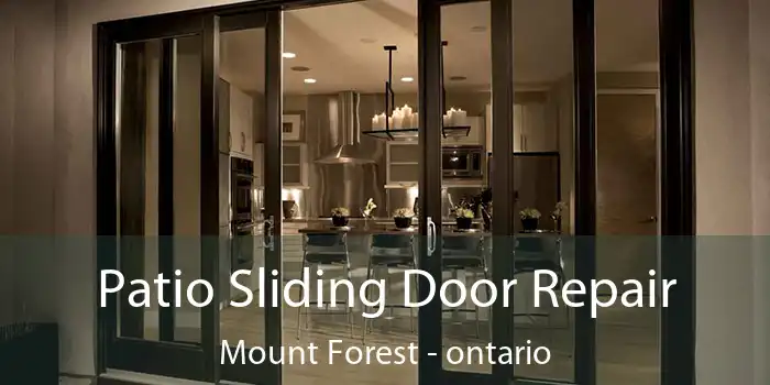 Patio Sliding Door Repair Mount Forest - ontario