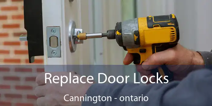 Replace Door Locks Cannington - ontario