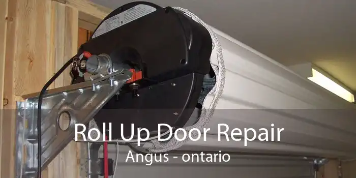 Roll Up Door Repair Angus - ontario