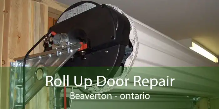 Roll Up Door Repair Beaverton - ontario