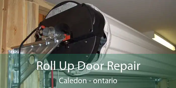 Roll Up Door Repair Caledon - ontario