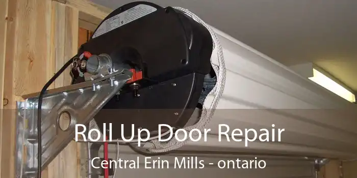 Roll Up Door Repair Central Erin Mills - ontario