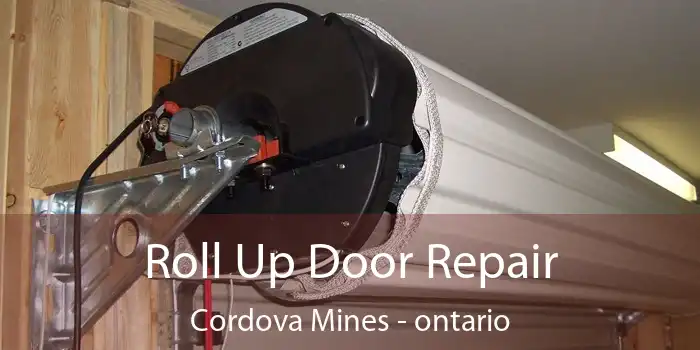 Roll Up Door Repair Cordova Mines - ontario