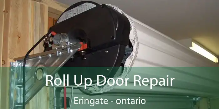 Roll Up Door Repair Eringate - ontario