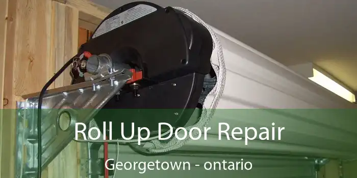 Roll Up Door Repair Georgetown - ontario