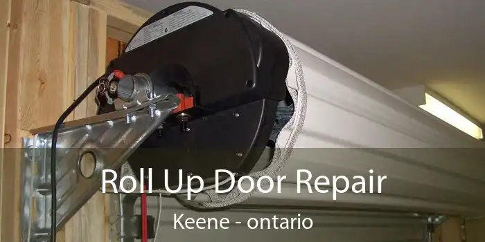 Roll Up Door Repair Keene - ontario