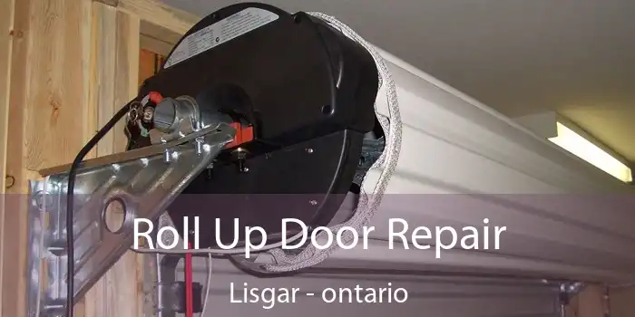 Roll Up Door Repair Lisgar - ontario