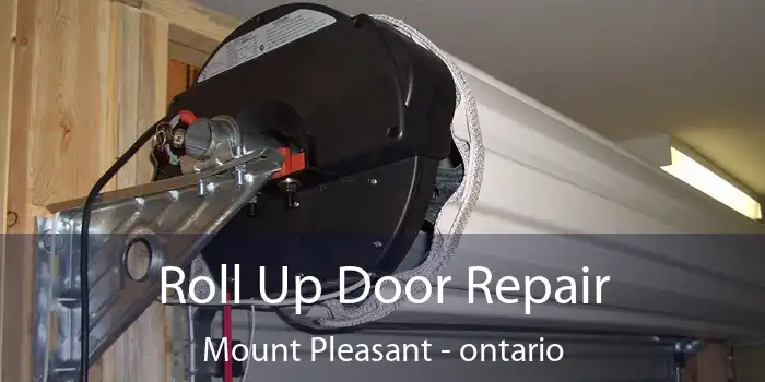Roll Up Door Repair Mount Pleasant - ontario