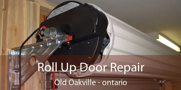 Roll Up Door Repair Old Oakville - ontario