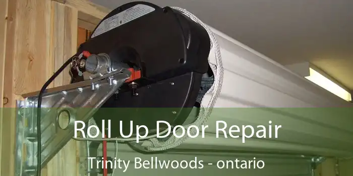 Roll Up Door Repair Trinity Bellwoods - ontario