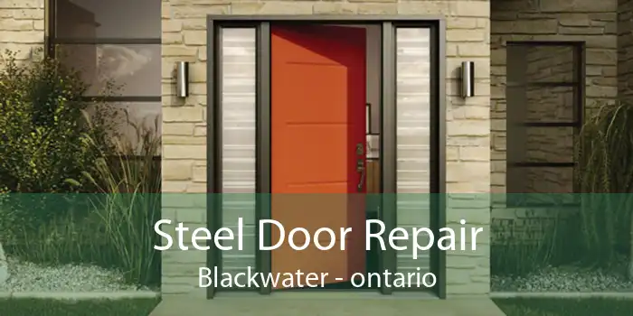 Steel Door Repair Blackwater - ontario