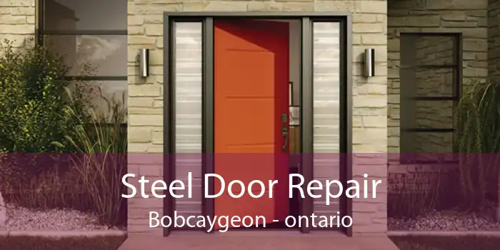 Steel Door Repair Bobcaygeon - ontario