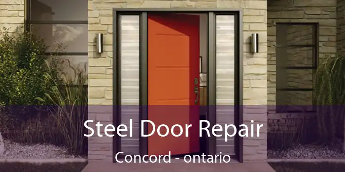 Steel Door Repair Concord - ontario
