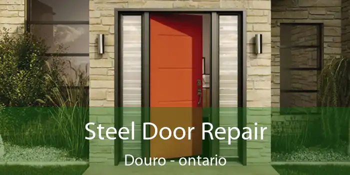 Steel Door Repair Douro - ontario