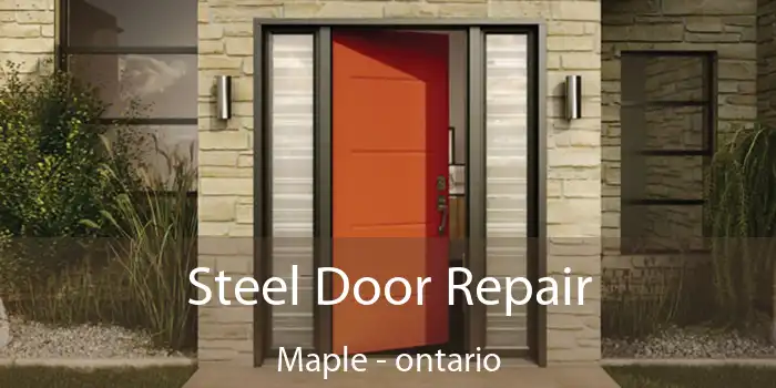 Steel Door Repair Maple - ontario