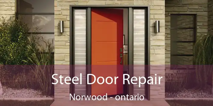 Steel Door Repair Norwood - ontario