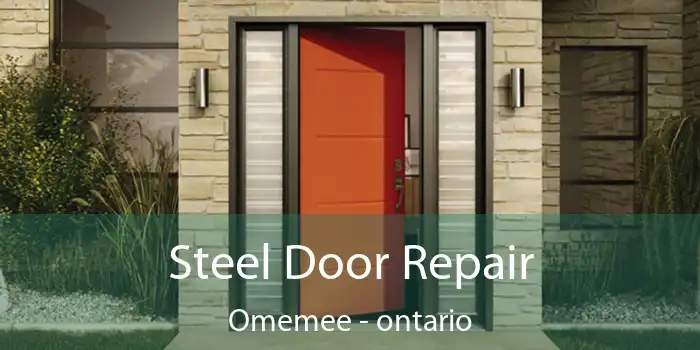 Steel Door Repair Omemee - ontario